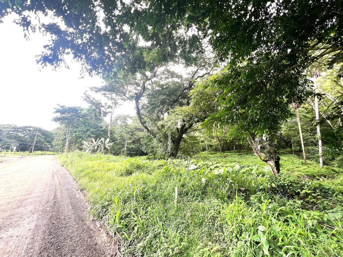 Land in Garabito, Costa Rica 3 - 18245561