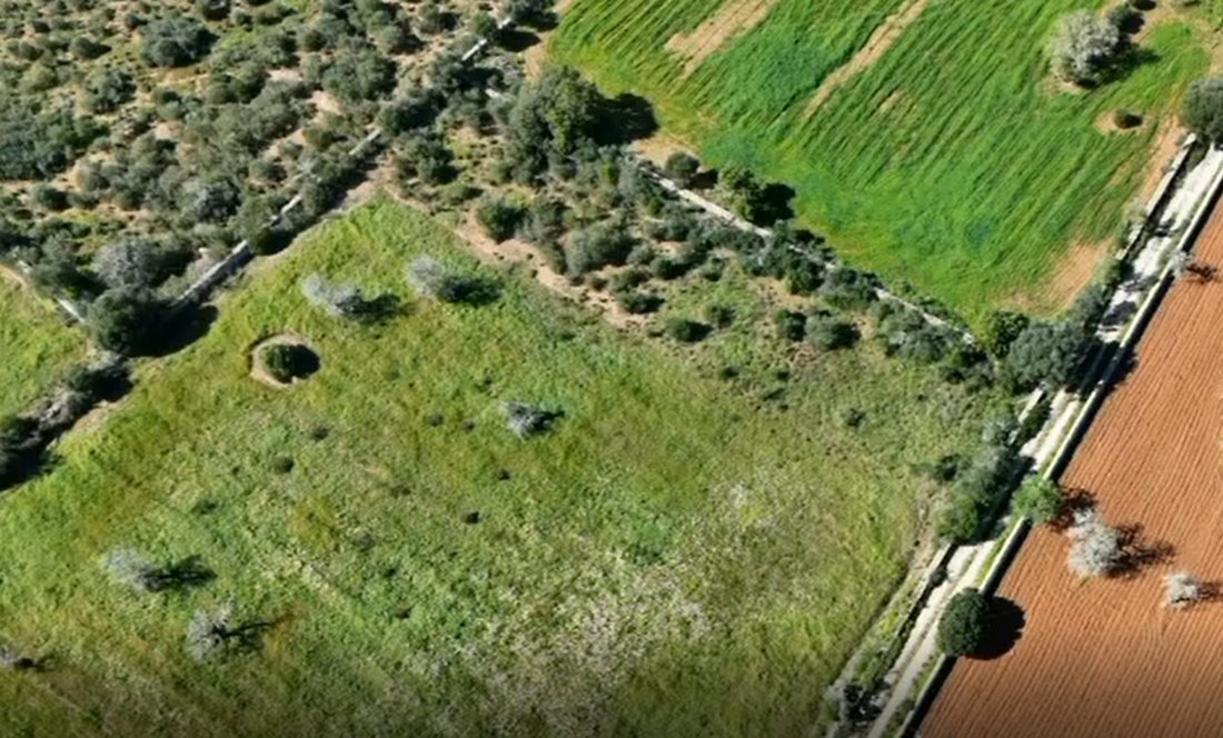 Land in Santanyi, Balearic Islands, Spain 4 - 18242020