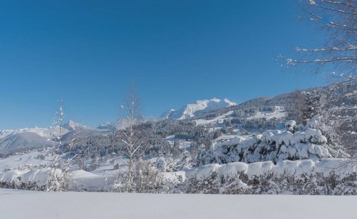 Land in Demi-Quartier, Auvergne-Rhône-Alpes, France 1