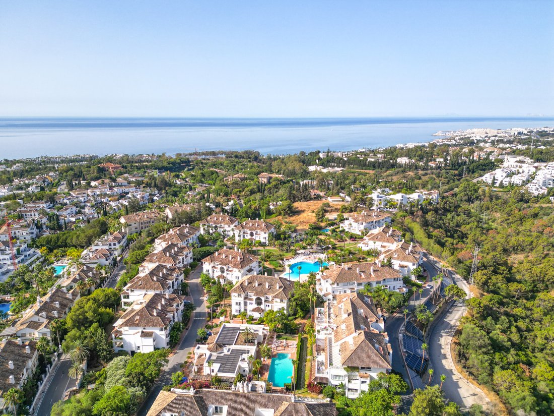 Penthouse in Golden Mile, Andalusia, Spain 1 - 18238175