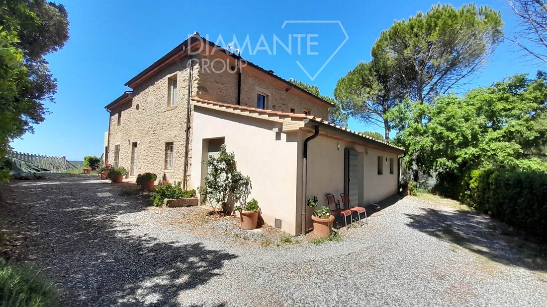 Farm Ranch in Montescudaio, Tuscany, Italy 5 - 18244575