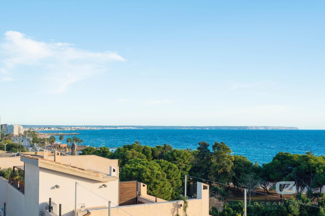 Villa in Palma, Balearic Islands, Spain 4 - 18242725