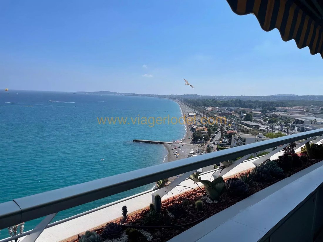 Apartment in Vaug, Villeneuve-Loubet, France 1 - 18239427