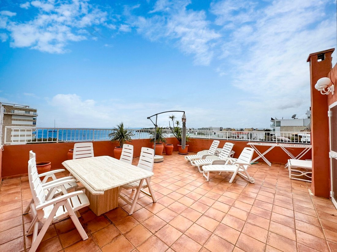 Apartment in Calvia, Balearic Islands, Spain 5 - 18245332