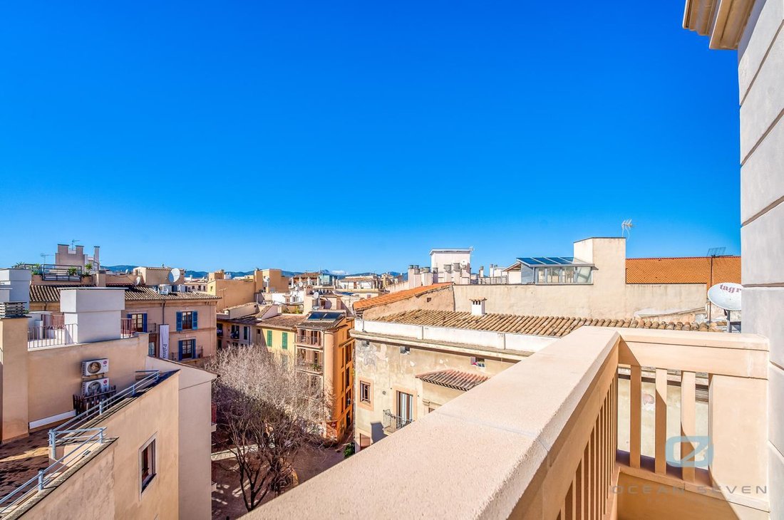 Apartment in Palma, Balearic Islands, Spain 1 - 18243683