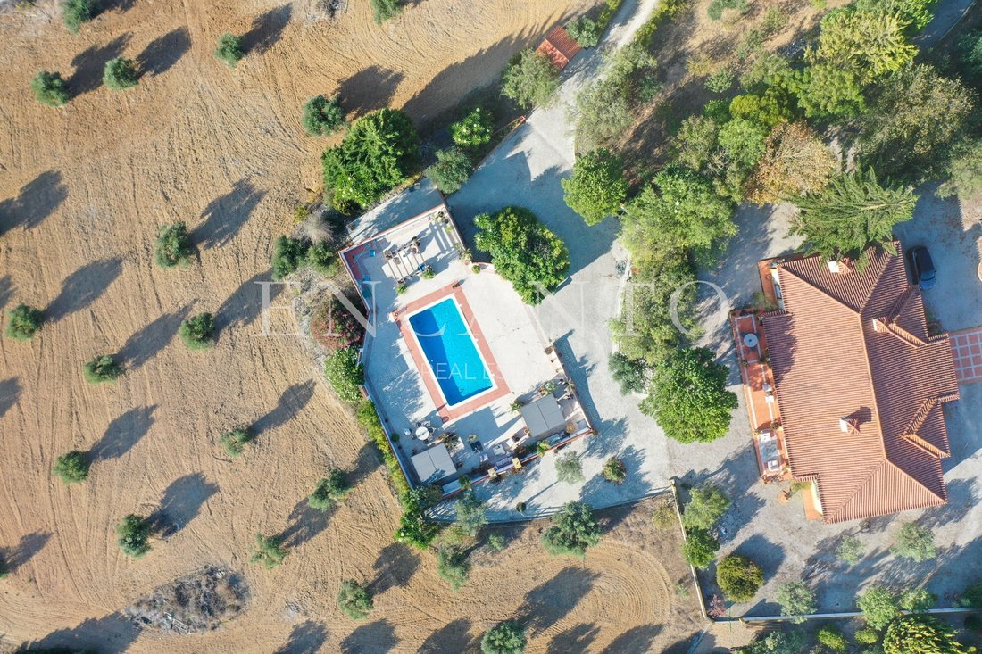 Finca in Abitureiras, Santarem District, Portugal 3 - 16069154