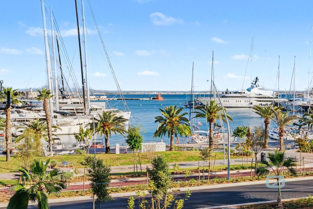 Apartment in Palma, Balearic Islands, Spain 1 - 18243857