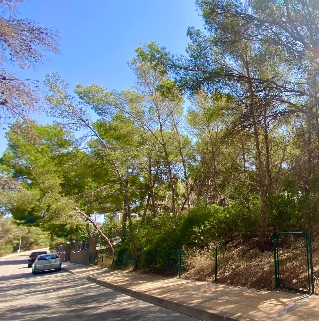 Land in Sol de Mallorca, Calvia, Balearic Islands 5 - 18241894