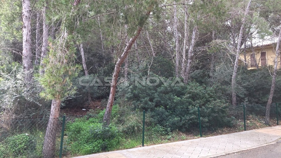 Terreno a Sol de Mallorca, Calvià, Isole Baleari 1 - 18241922