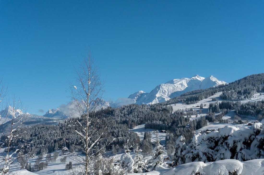 Land in Demi-Quartier, Auvergne-Rhône-Alpes, France 4 - 18236549