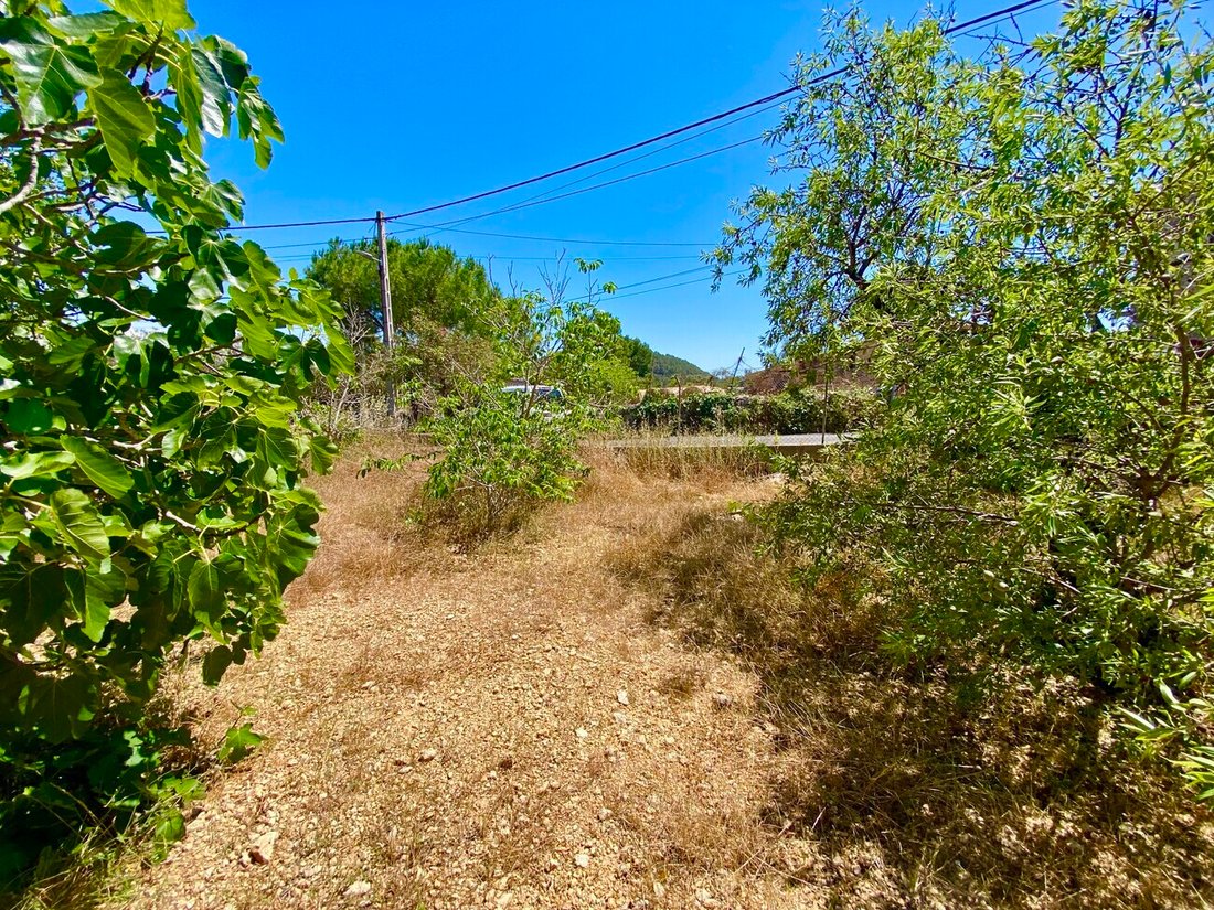 Land in Es Capdellà, Calvià, Balearische Inseln 5 - 18241867