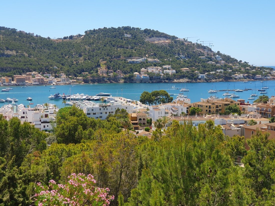 Villa in Port d'Andratx, Andratx, Balearic Islands 3 - 18243828
