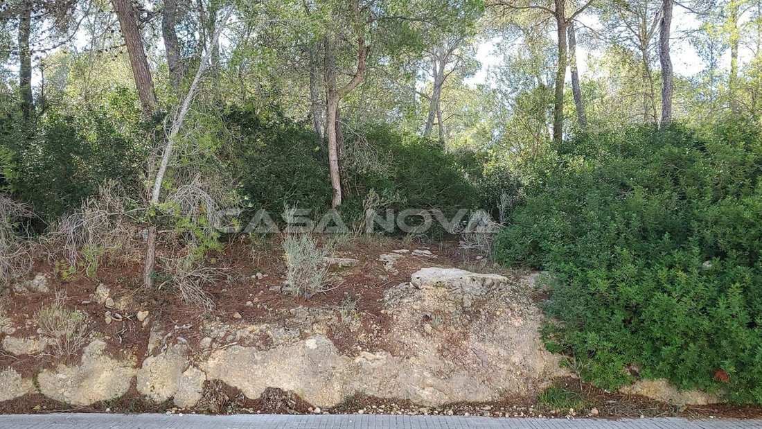 Land in Calvia, Balearic Islands, Spain 2 - 18241915