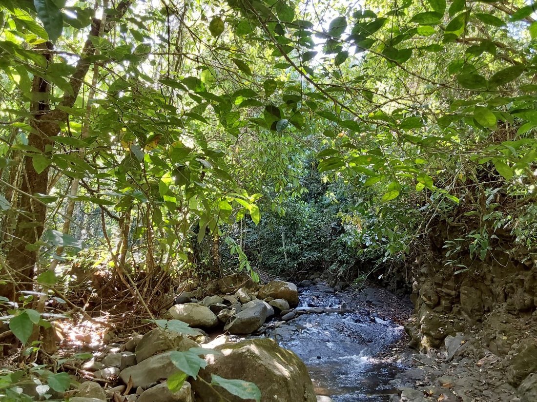 Terrain à Ciudad Cortés, Puntarenas, Costa Rica 2 - 18242168