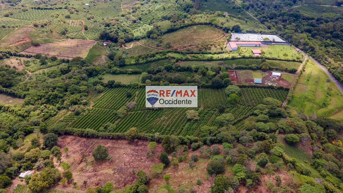 Land in San Pedro de Poás, Guanacaste Province, Costa Rica 4 - 18239002