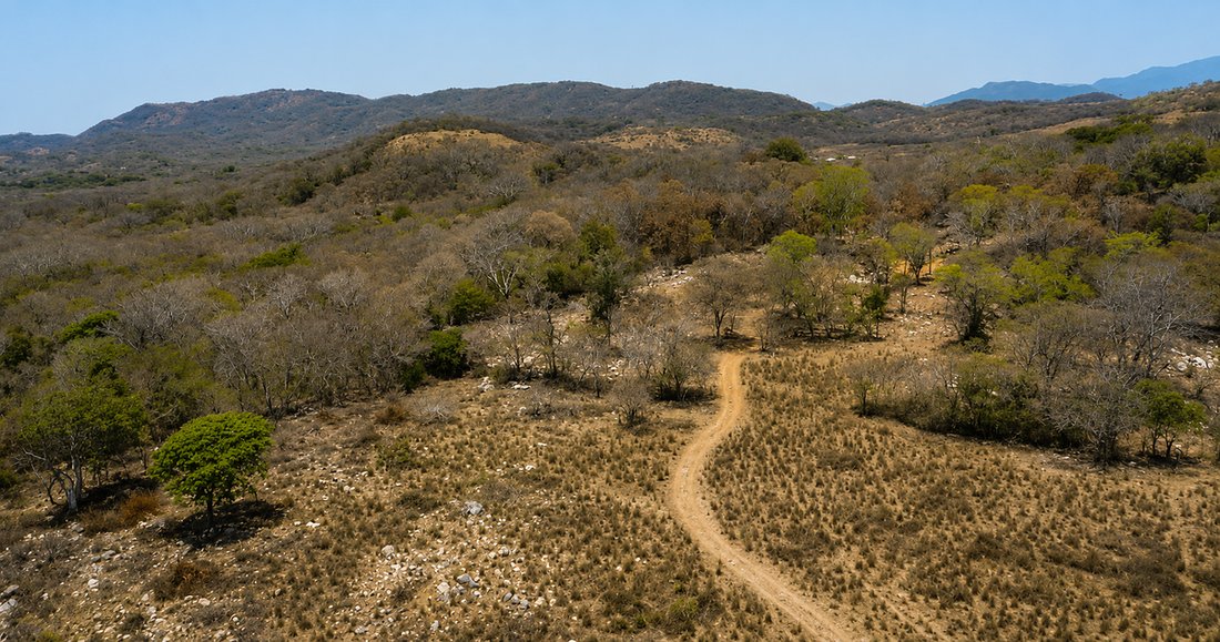 Land in Los Capulines, Guerrero, Mexico 2 - 18245973