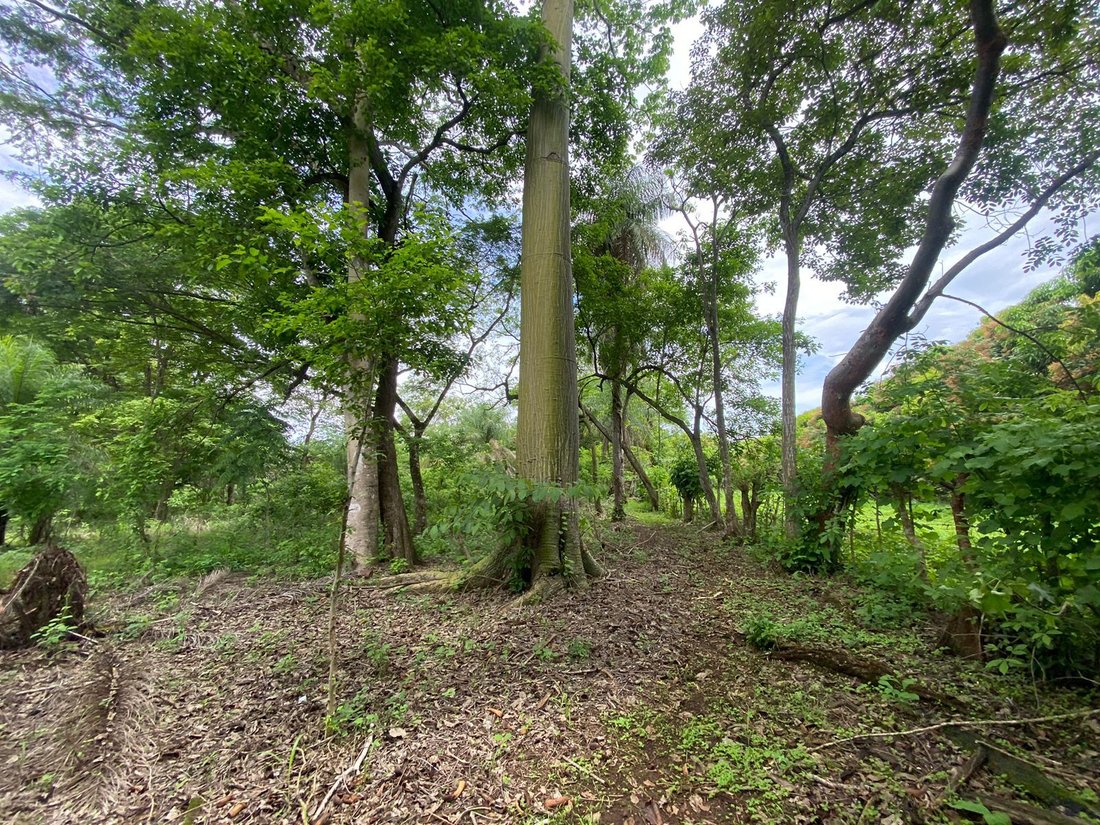 Land in Orotina, Orotina, Costa Rica 3 - 18239022