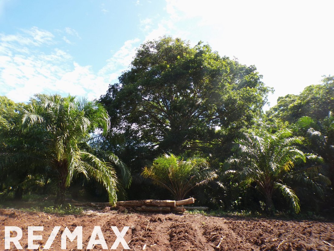 Land in La Virgen, Puntarenas Province, Costa Rica 4 - 18246544