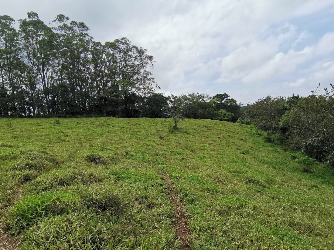 Terreno en Naranjo, Provincia de Alajuela, Costa Rica 3 - 18238485
