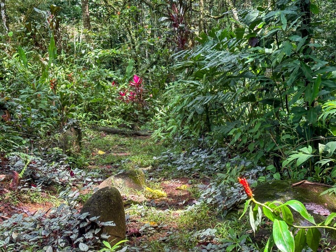 House in Ojochal, Puntarenas Province, Costa Rica 5 - 18241565