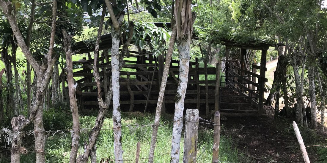 Terreno a Pérez Zeledón, Cantone di Pérez Zeledón, Costa Rica 2 - 18241312