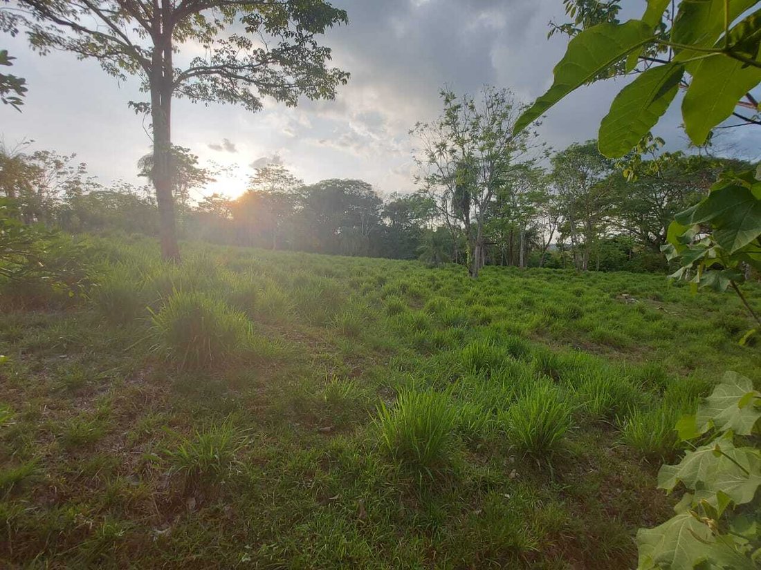 Land in Carara, San José Province, Costa Rica 5 - 18240091