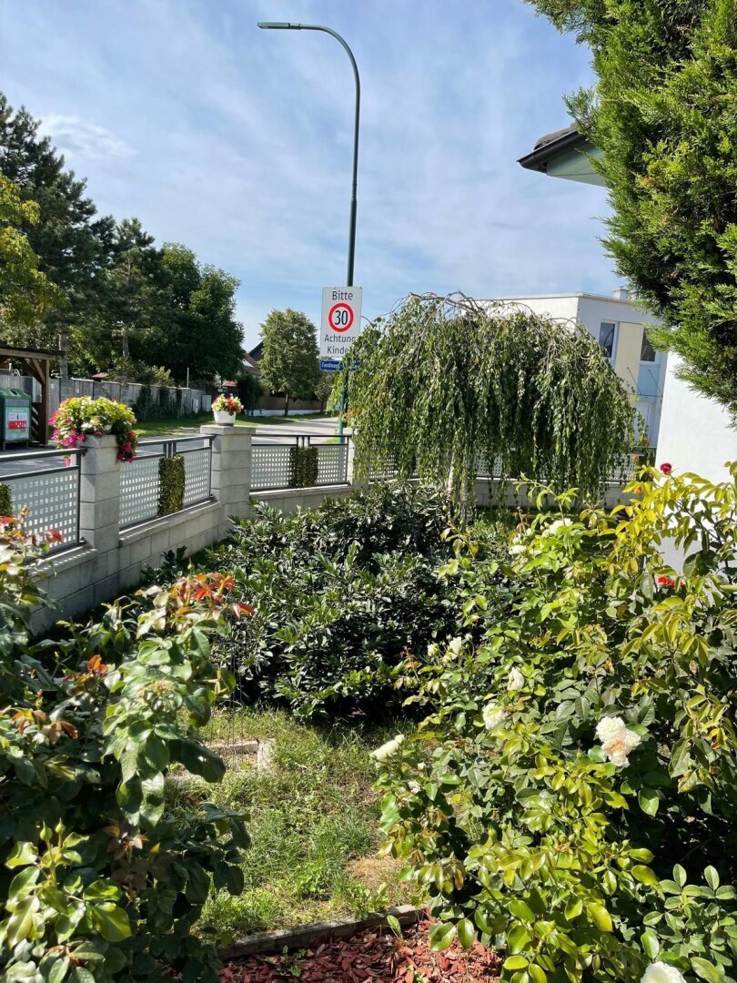 Bungalow in Felixdorf, Lower Austria, Austria 3 - 18240006