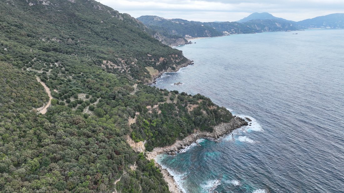 Land in Corfu, Peloponnese, Western Greece and the Ionian, Greece 5 - 14306485