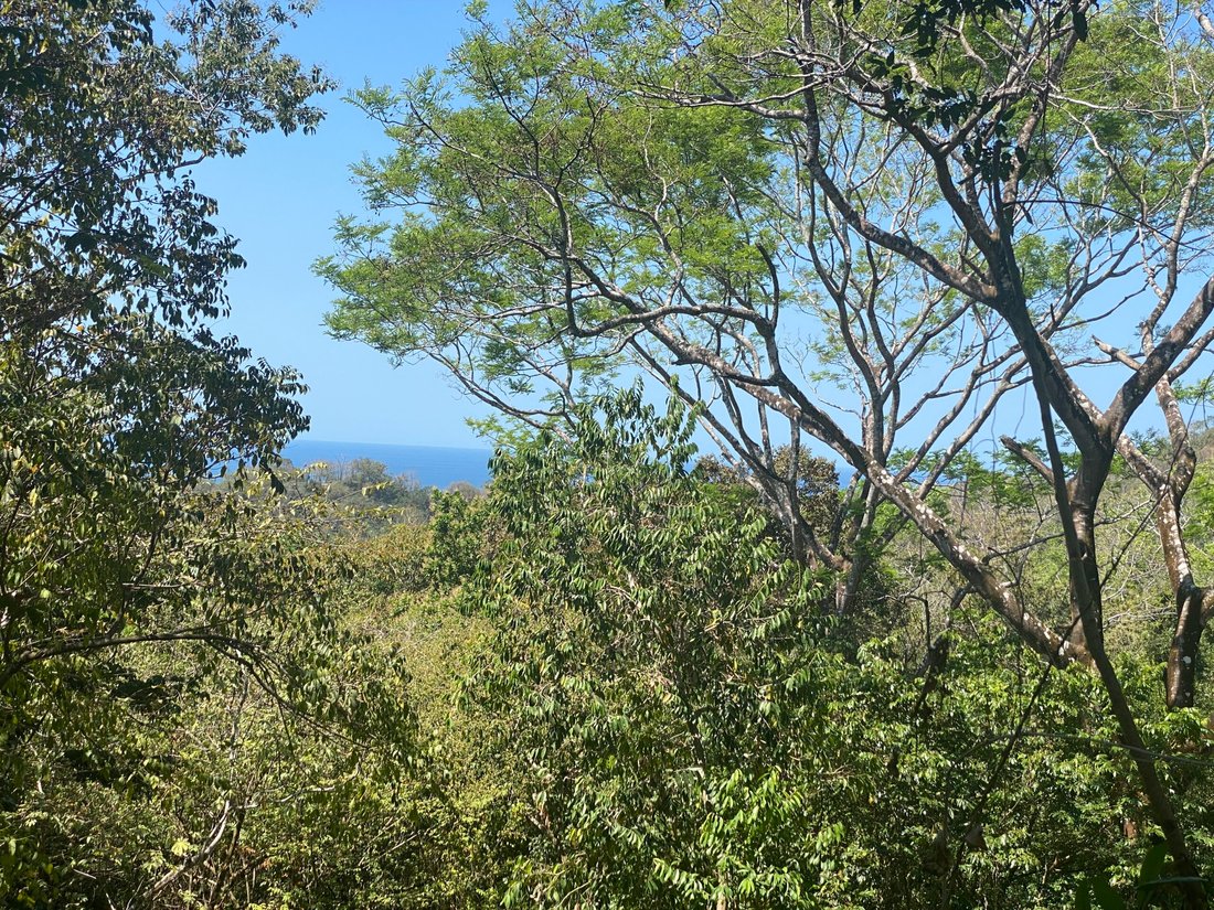 House in Carmen Beach, Puntarenas Province, Costa Rica 1 - 18235816