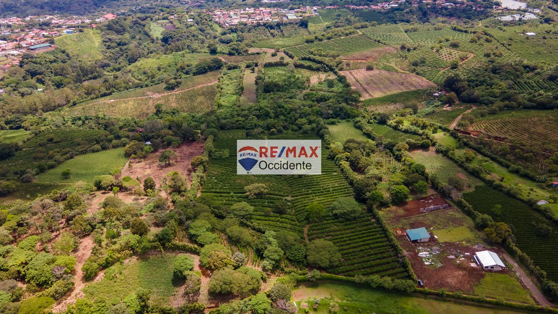 Land in San Pedro de Poás, Guanacaste Province, Costa Rica 5 - 18239002