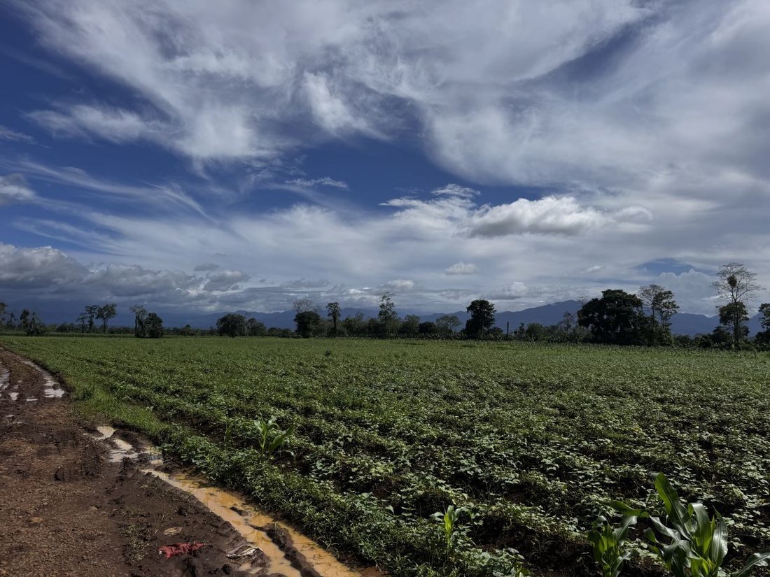 Land in San José, Alajuela Province, Costa Rica 3 - 18237092