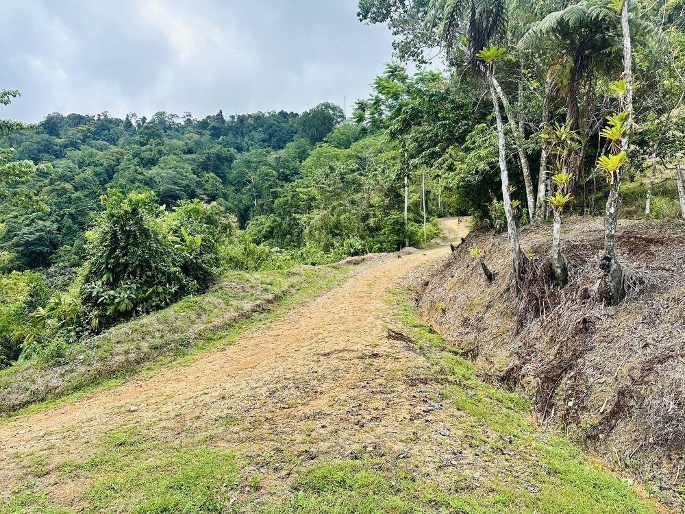 Land in Savegre de Aguirre, Puntarenas Province, Costa Rica 2 - 18237759