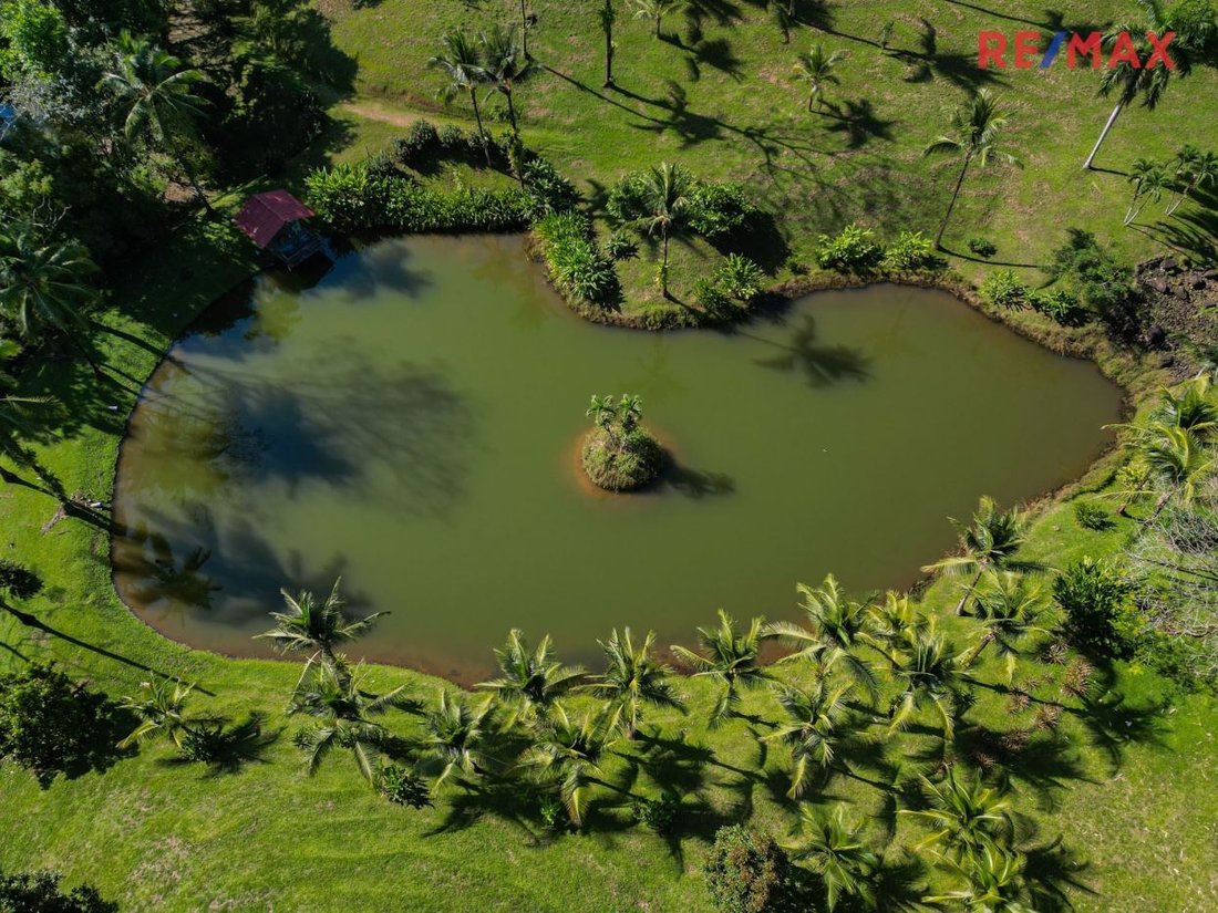 House in Naranjito, Puntarenas Province, Costa Rica 4 - 18237825