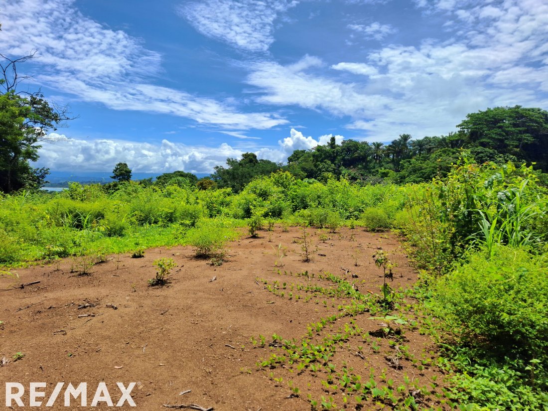 Land in Cuervito, Puntarenas Province, Costa Rica 5 - 18246553
