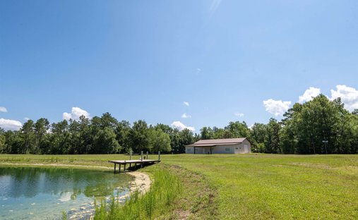 House in Hosford, Florida, United States 1