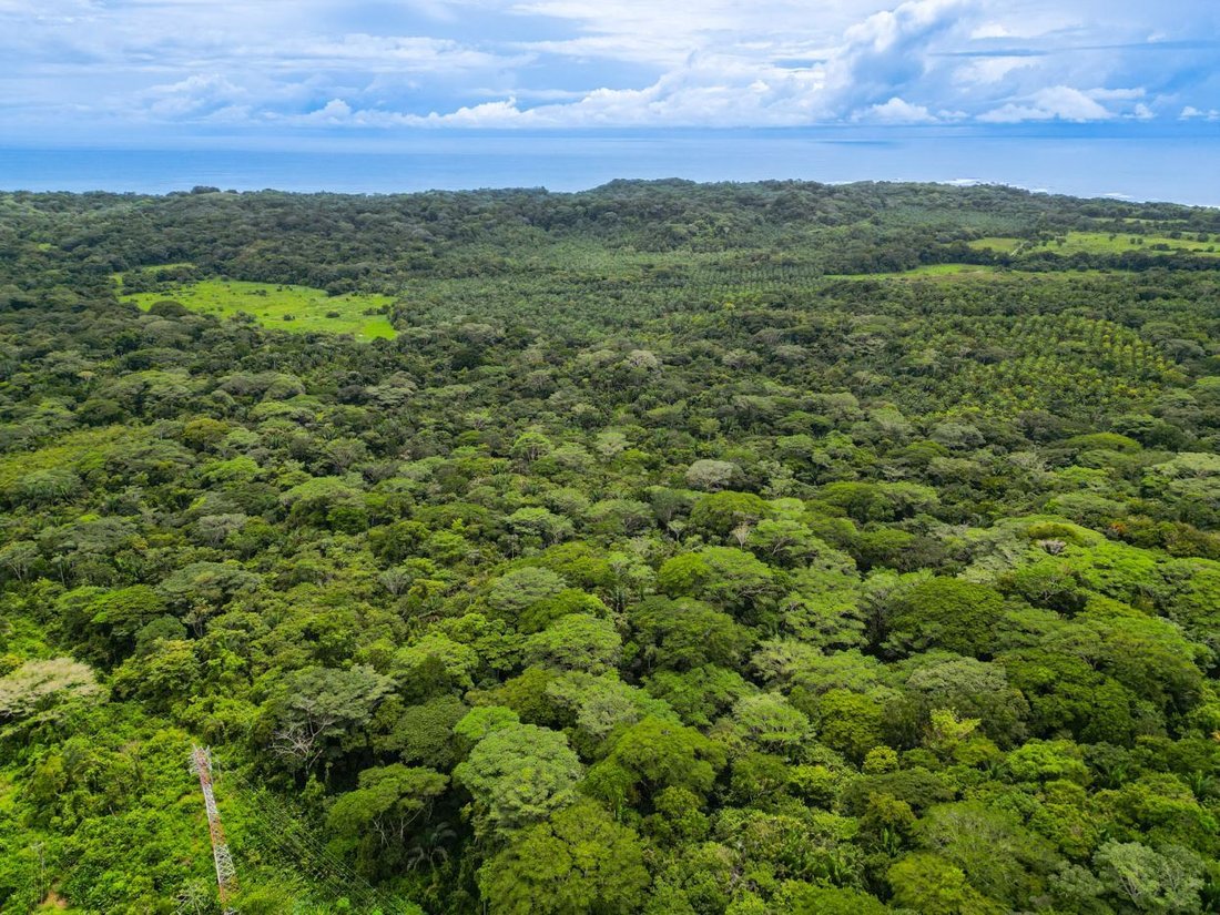 Terreno en Parrita, Provincia de Puntarenas, Costa Rica 2 - 18236103