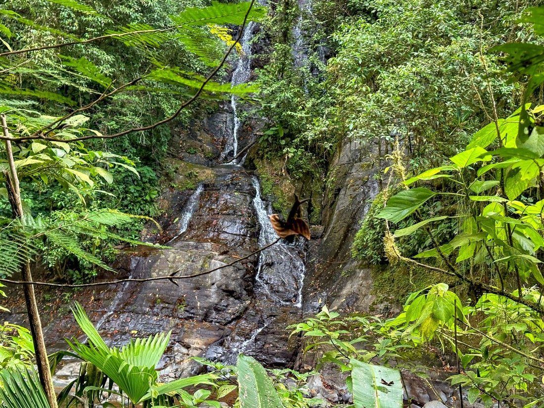 Haus in Uvita, Provinz Puntarenas, Costa Rica 5 - 18241251