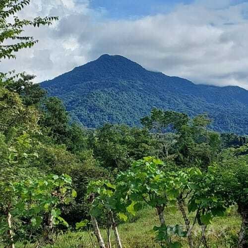 Land in San Juan de Mata, San José Province, Costa Rica 1 - 18238269