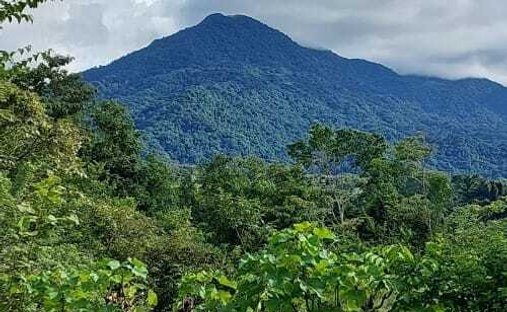 Land in San Juan de Mata, San José Province, Costa Rica 1
