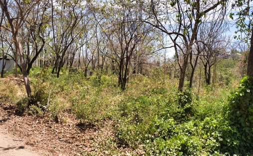 Land in Playa Pelada, Guanacaste Province, Costa Rica 1