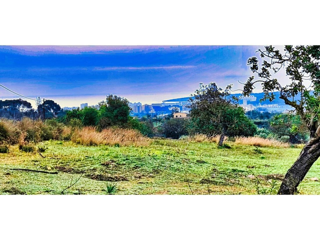 Finca in Son Servera, Balearic Islands, Spain 3 - 18242108