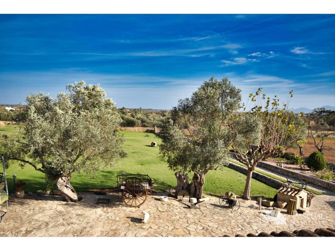 House in Santa Margalida, Balearic Islands, Spain 5 - 18242808