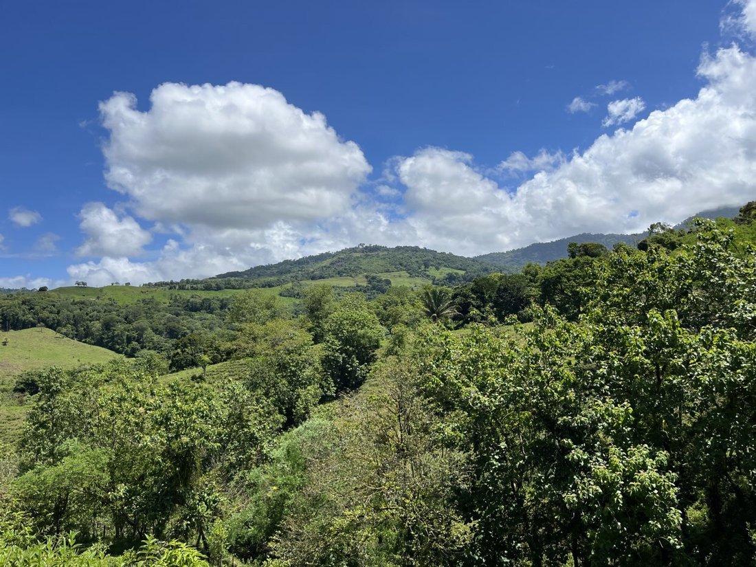 Land in Savegre de Aguirre, Puntarenas Province, Costa Rica 1 - 18237481