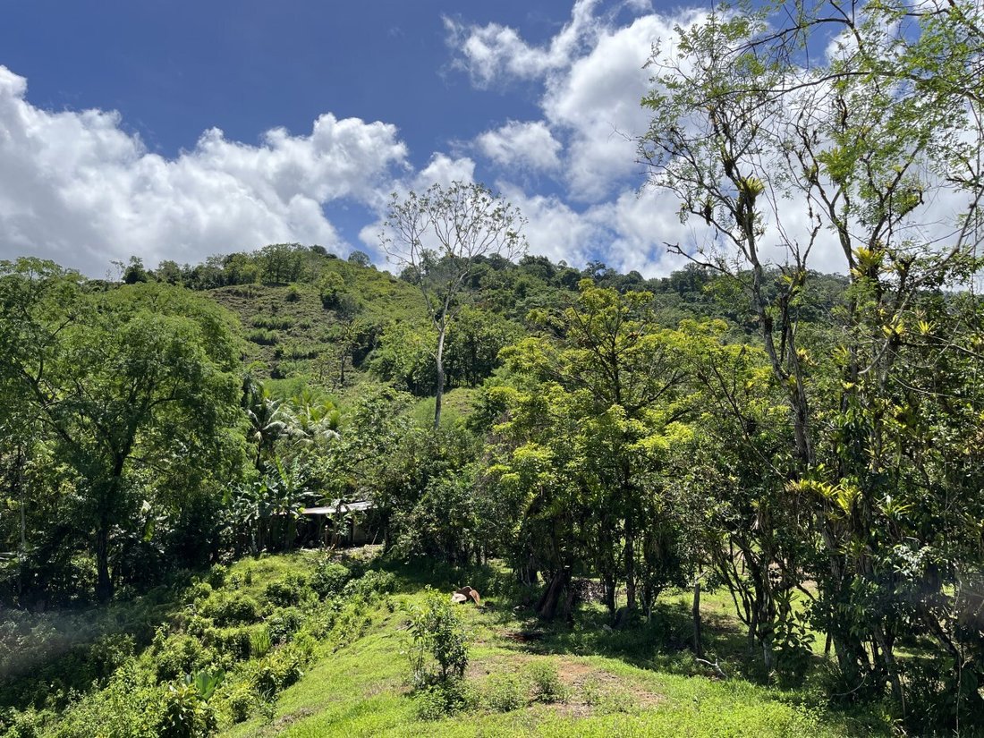 Land in Savegre de Aguirre, Puntarenas Province, Costa Rica 2 - 18237481