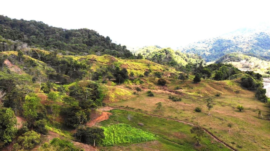 Land in Naranjito, Puntarenas Province, Costa Rica 1 - 18237732