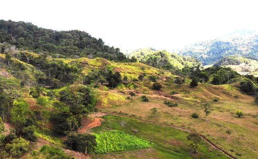 Land in Naranjito, Puntarenas Province, Costa Rica 1