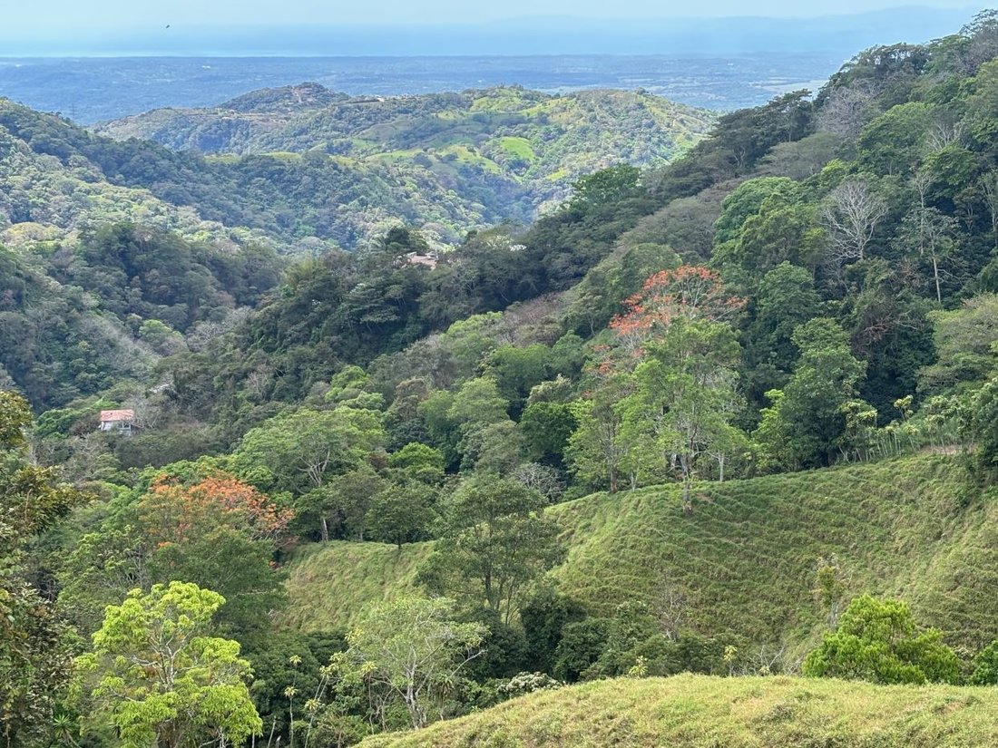 House in Escobal, Guanacaste Province, Costa Rica 1 - 18240079