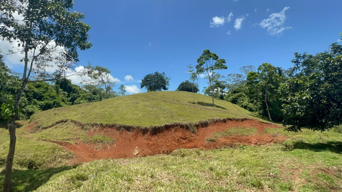 Terreno a Hacienda Buenos Aires, Provincia di Alajuela, Costa Rica 2 - 18240554