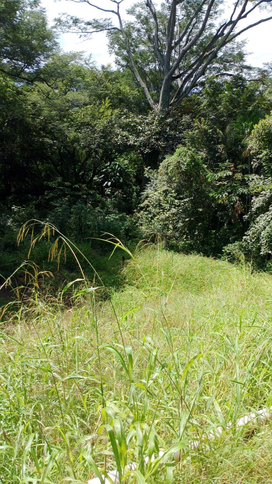 Land in Escobal, Guanacaste Province, Costa Rica 1 - 18239821