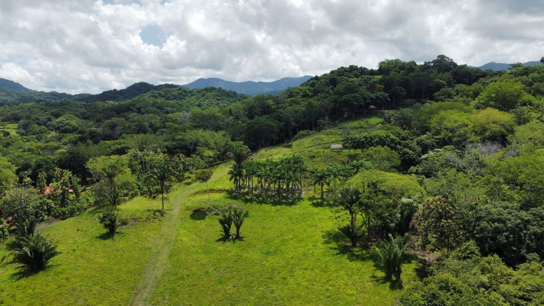Land in San Francisco de Coyote, Guanacaste Province, Costa Rica 4 - 18241207